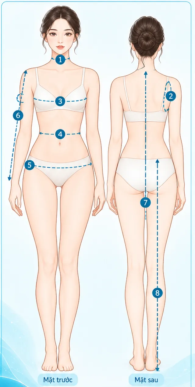 Vị trí đo Vòng cổ trên cơ thể cô dâu